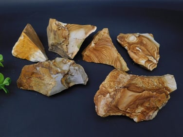 JASPER ROCK STONE LAPIDARY SPECIMEN