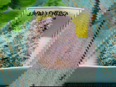 ROSE OPAL ROCK STONE LAPIDARY SPECIMEN