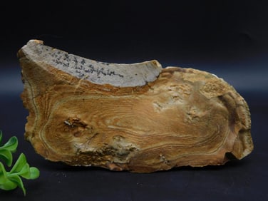 JASPER ROCK STONE LAPIDARY SPECIMEN