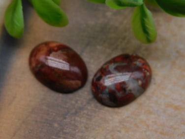 CABOCHONS ROCK STONE LAPIDARY SPECIMEN