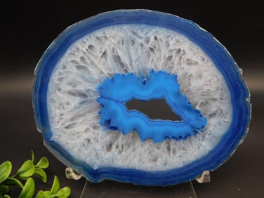 AGATE SLICE ROCK STONE LAPIDARY SPECIMEN