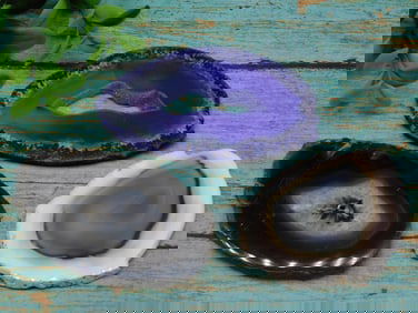 AGATE SLICES ROCK STONE LAPIDARY SPECIMEN