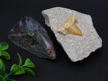 MIXED LOT ROCK STONE LAPIDARY SPECIMEN