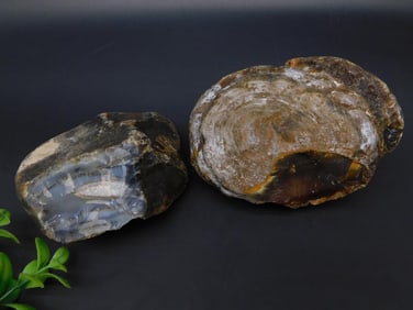 AGATE ROCK STONE LAPIDARY SPECIMEN