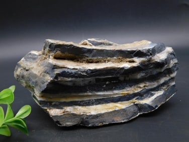 ROCK STONE LAPIDARY SPECIMEN