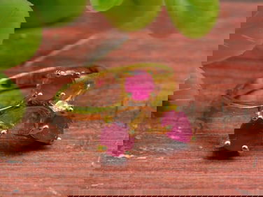 STONE RING ROCK STONE LAPIDARY SPECIMEN