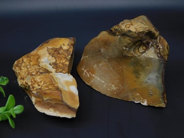 JASPER ROCK STONE LAPIDARY SPECIMEN