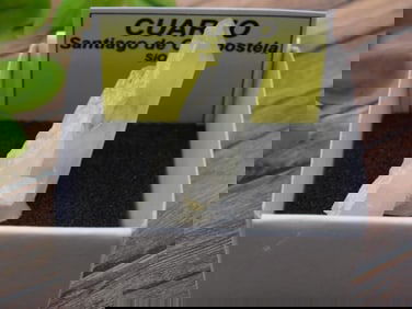 CUARZO ROCK STONE LAPIDARY SPECIMEN