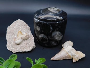 MIXED LOT ROCK STONE LAPIDARY SPECIMEN