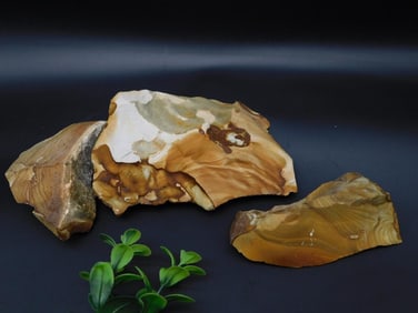 JASPER ROCK STONE LAPIDARY SPECIMEN