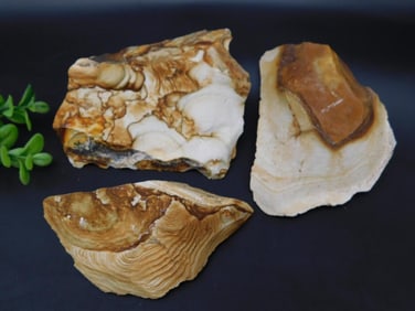 JASPER ROCK STONE LAPIDARY SPECIMEN