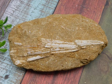 ROCK STONE LAPIDARY SPECIMEN