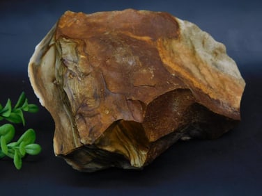 JASPER ROCK STONE LAPIDARY SPECIMEN