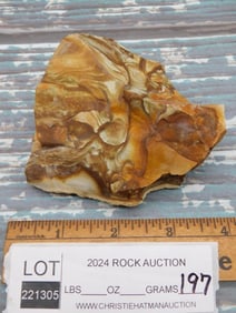 JASPER ROCK STONE LAPIDARY SPECIMEN