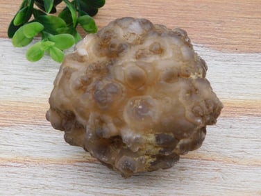 BOTROIDAL CHALCEDONY