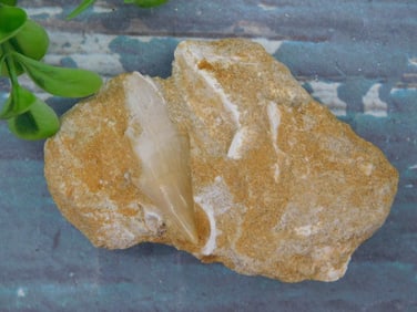 MIXED STONE BRACELET ROCK STONE LAPIDARY SPECIMEN