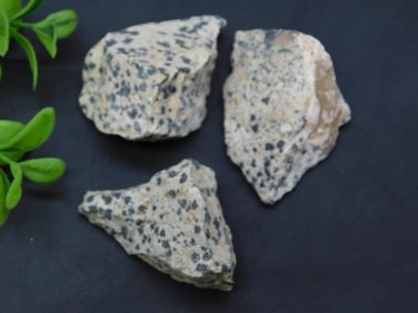 DALMATION JASPER ROCK STONE LAPIDARY SPECIMEN