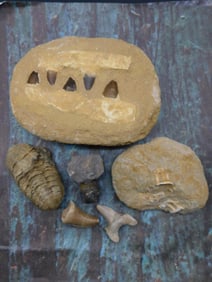 MIXED FOSSIL LOT ROCK STONE LAPIDARY SPECIMEN