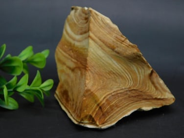 JASPER ROCK STONE LAPIDARY SPECIMEN