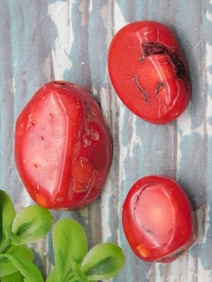 RED CORAL ROCK STONE LAPIDARY SPECIMEN