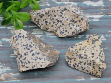 DALMATION JASPER ROCK STONE LAPIDARY SPECIMEN