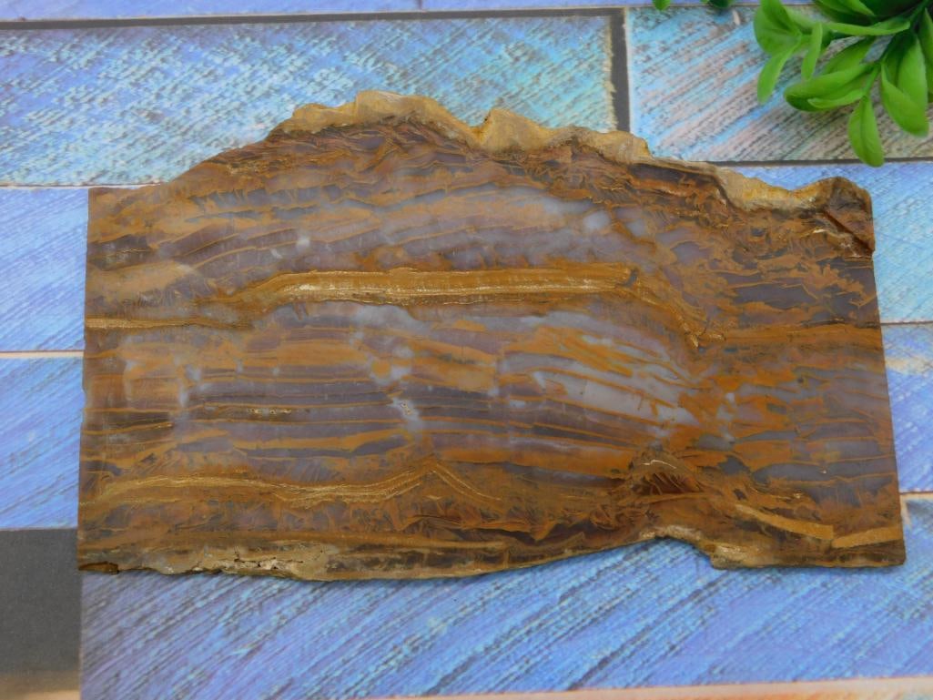 TIGER EYE SLAB ROCK STONE LAPIDARY SPECIMEN (1 of 2)