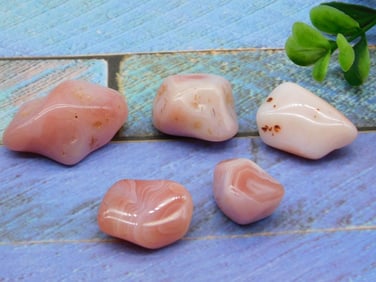 PINK AGATE ROCK STONE LAPIDARY SPECIMEN