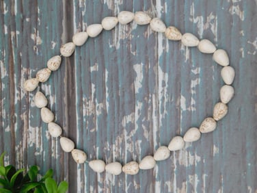 SHELL NECKLACE ROCK STONE LAPIDARY SPECIMEN