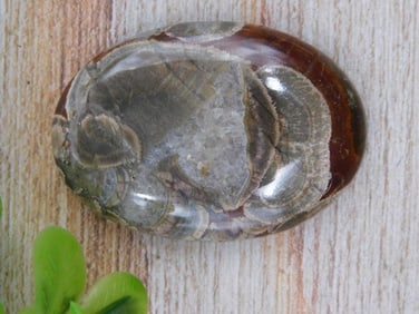 MUSHROOM RHYOLITE CABOCHON ROCK STONE LAPIDARY SPECIMEN