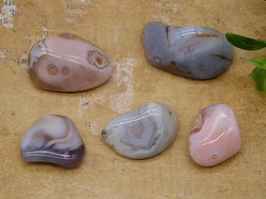 BOTSWANA AGATE ROCK STONE LAPIDARY SPECIMEN