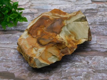 JASPER ROCK STONE LAPIDARY SPECIMEN