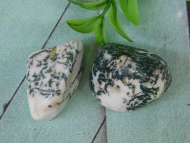 TREE AGATE ROCK STONE LAPIDARY SPECIMEN