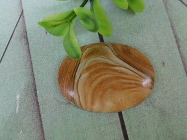 JASPER CABOCHON ROCK STONE LAPIDARY SPECIMEN