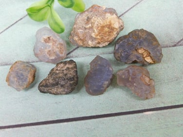 ELLENSBURG AGATE ROCK STONE LAPIDARY SPECIMEN