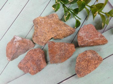 STARBURST JASPER ROCK STONE LAPIDARY SPECIMEN