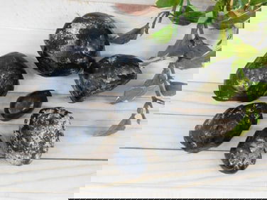 APACHE TEARS ROCK STONE LAPIDARY SPECIMEN