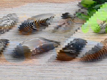 BOTSWANA AGATE ROCK STONE LAPIDARY SPECIMEN