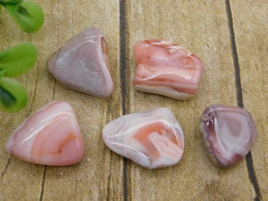 PEACH BOTSWANA AGATE ROCK STONE LAPIDARY SPECIMEN