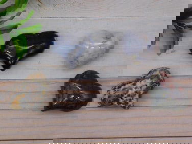 STONE HEARTS ROCK STONE LAPIDARY SPECIMEN