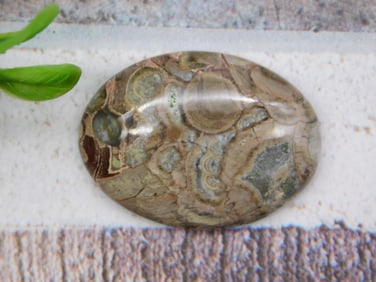 MUSHROOM RHYOLITE CABOCHON ROCK STONE LAPIDARY SPECIMEN