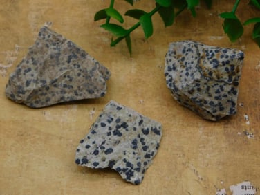 DALMATION JASPER ROCK STONE LAPIDARY SPECIMEN