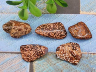 STARBURST JASPER ROCK STONE LAPIDARY SPECIMEN