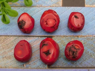 RED CORAL ROCK STONE LAPIDARY SPECIMEN