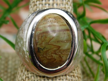 JASPER RING ROCK STONE LAPIDARY SPECIMEN