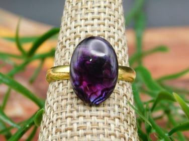 ABALONE RING ROCK STONE LAPIDARY SPECIMEN