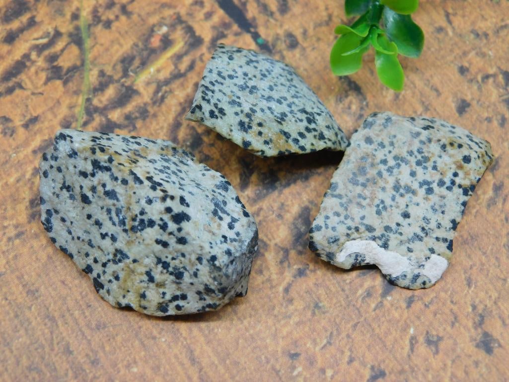 DALMATION JASPER ROCK STONE LAPIDARY SPECIMEN: DALMATION JASPER ROCK STONE LAPIDARY SPECIMEN