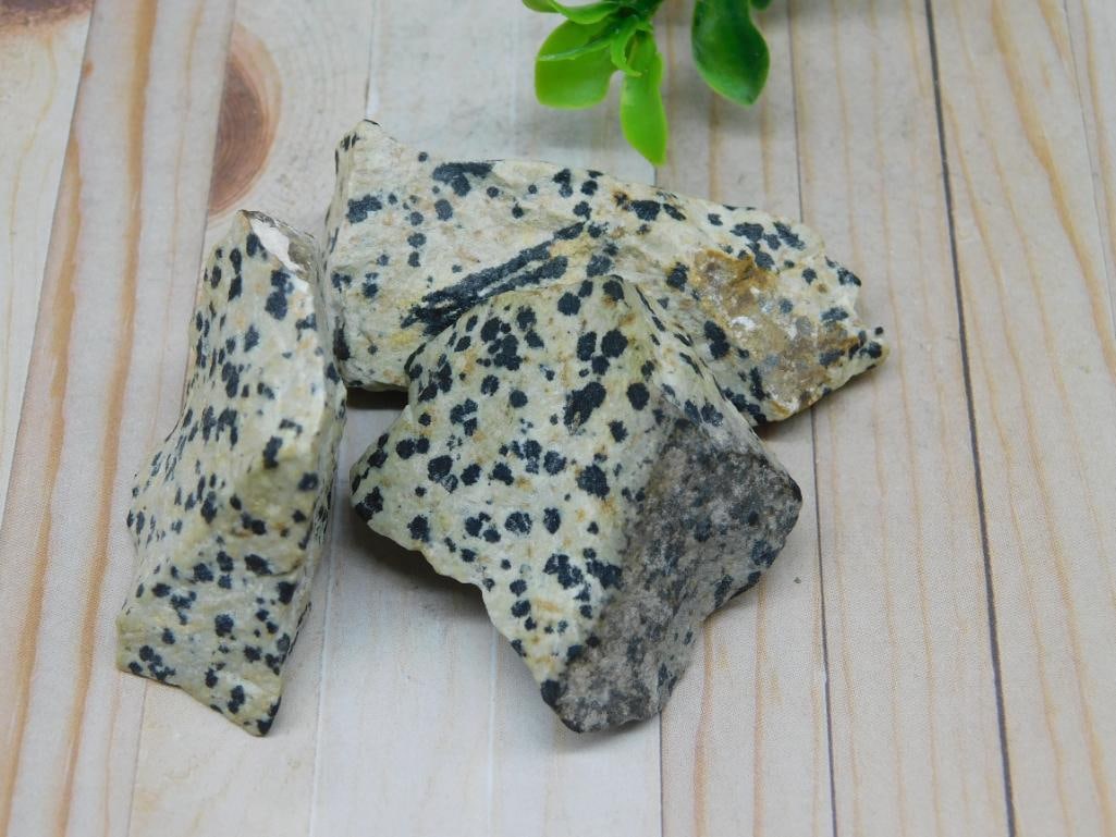 DALMATION JASPER ROCK STONE LAPIDARY SPECIMEN: DALMATION JASPER ROCK STONE LAPIDARY SPECIMEN