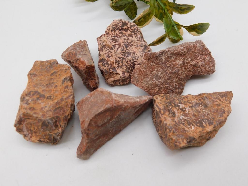 STARBURST JASPER ROCK STONE LAPIDARY SPECIMEN: STARBURST JASPER ROCK STONE LAPIDARY SPECIMEN