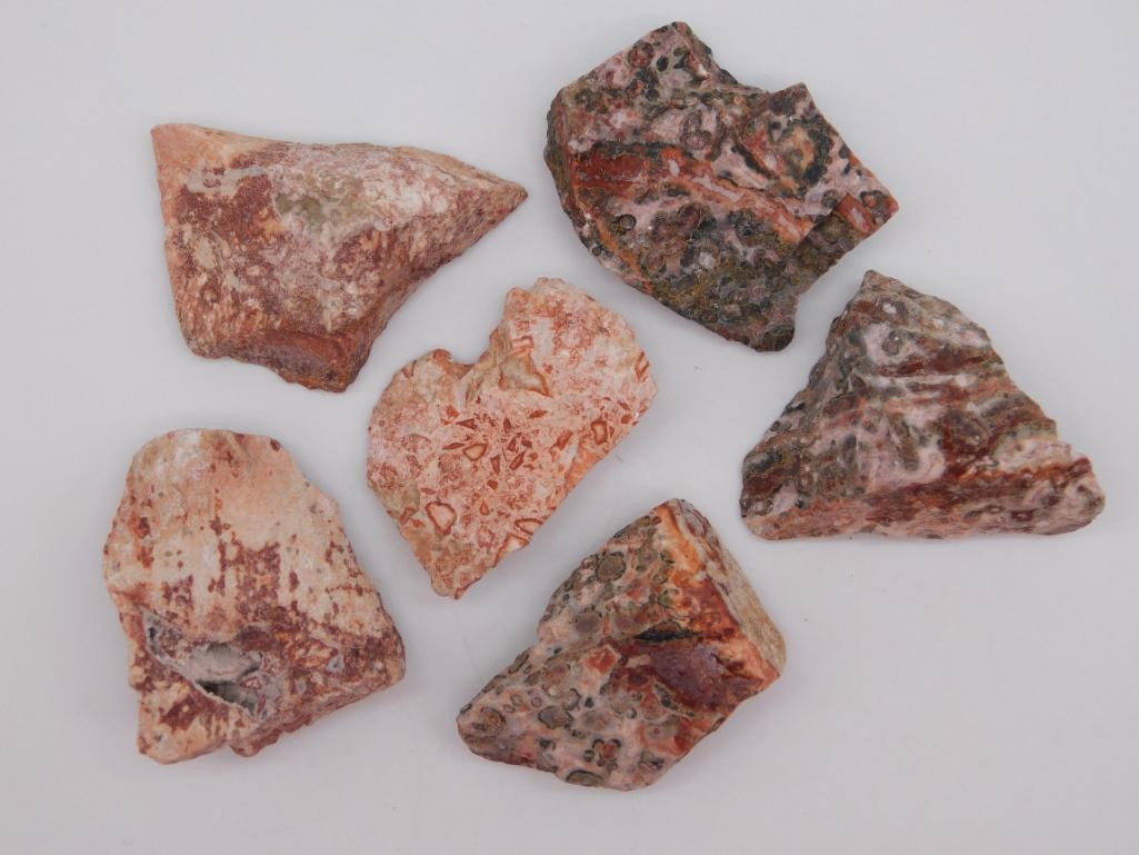 LEOPARD SKIN JASPER ROCK STONE LAPIDARY SPECIMEN: LEOPARD SKIN JASPER ROCK STONE LAPIDARY SPECIMEN
