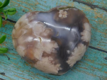 HATMANS FLOWER PETAL AGATE HEART ROCK STONE LAPIDARY SPECIMEN